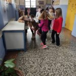 εικόνα_Viber_2026-04-20_22-42-02-418